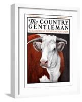 "Head of Steer," Country Gentleman Cover, September 22, 1923-Charles Bull-Framed Giclee Print