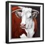 "Head of Steer,"September 22, 1923-Charles Bull-Framed Giclee Print