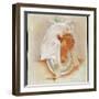 Head of the Ancient Egyptian Queen Makare Hatshepsut, (c early 20th century)-Howard Carter-Framed Giclee Print