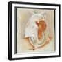 Head of the Ancient Egyptian Queen Makare Hatshepsut, (c early 20th century)-Howard Carter-Framed Giclee Print