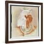 Head of the Ancient Egyptian Queen Makare Hatshepsut, (c early 20th century)-Howard Carter-Framed Giclee Print
