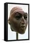 Head of the Ancient Egyptian Queen Tiye, C1388-1340 Bc-null-Framed Stretched Canvas