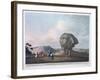 Head of the Colossal Sphinx, Giza, Egypt, 1801-Thomas Milton-Framed Giclee Print