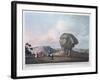 Head of the Colossal Sphinx, Giza, Egypt, 1801-Thomas Milton-Framed Giclee Print