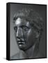 Head of the Doryphoros (Spearman) by Poliklet-null-Framed Stretched Canvas