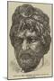 Head of the Emperor Hadrian Found at Jerusalem-null-Mounted Giclee Print