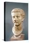 Head of the Emperor Tiberius (42 BC-37 AD)-null-Stretched Canvas