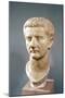 Head of the Emperor Tiberius (42 BC-37 AD)-null-Mounted Giclee Print