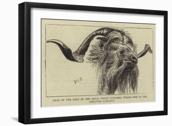 Head of the Goat of the Royal Welsh Fusiliers, Which Died in the Ashantee Campaign-William Edward Atkins-Framed Giclee Print