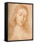 'Head of the Redeemer', c15th century, (1932)-Leonardo Da Vinci-Framed Stretched Canvas