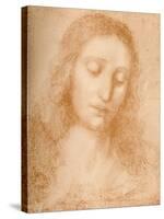 'Head of the Redeemer', c15th century, (1932)-Leonardo Da Vinci-Stretched Canvas