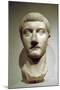 Head of the Roman Emperor Tiberius-A Lorenzini-Mounted Photographic Print