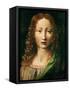 Head of the Saviour-Leonardo da Vinci-Framed Stretched Canvas