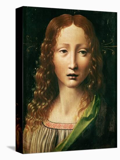 Head of the Saviour-Leonardo da Vinci-Stretched Canvas