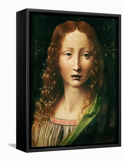 Head of the Saviour-Leonardo da Vinci-Framed Stretched Canvas