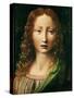 Head of the Saviour-Leonardo da Vinci-Stretched Canvas