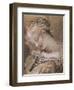 Head of the Virgin-Pierre-Paul Prud'hon-Framed Giclee Print