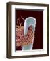 Head of Threaded Needle-Micro Discovery-Framed Photographic Print