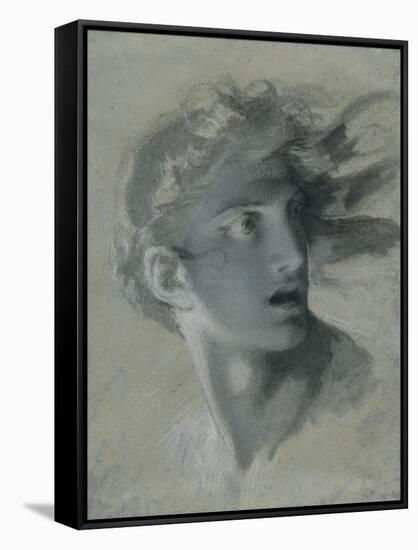 Head of Vengeance, C.1804-Pierre-Paul Prud'hon-Framed Stretched Canvas