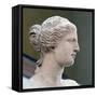 Head of Venus De Milo-null-Framed Stretched Canvas