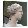 Head of Venus De Milo-null-Stretched Canvas