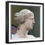 Head of Venus De Milo-null-Framed Photographic Print