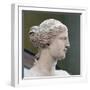 Head of Venus De Milo-null-Framed Photographic Print