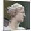 Head of Venus De Milo-null-Mounted Photographic Print