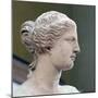 Head of Venus De Milo-null-Mounted Photographic Print