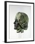 Head of Victory from the Leeds War Memorial, 1922-Henry Charles Fehr-Framed Giclee Print