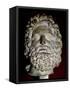 Head of Zeus-null-Framed Stretched Canvas