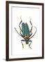 Head on Photograph of Long Horn Beetle Cerambycidae-Darrell Gulin-Framed Premium Photographic Print