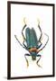 Head on Photograph of Long Horn Beetle Cerambycidae-Darrell Gulin-Framed Premium Photographic Print