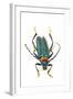 Head on Photograph of Long Horn Beetle Cerambycidae-Darrell Gulin-Framed Photographic Print