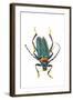 Head on Photograph of Long Horn Beetle Cerambycidae-Darrell Gulin-Framed Photographic Print