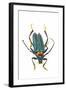 Head on Photograph of Long Horn Beetle Cerambycidae-Darrell Gulin-Framed Photographic Print