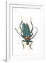 Head on Photograph of Long Horn Beetle Cerambycidae-Darrell Gulin-Framed Photographic Print