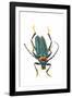 Head on Photograph of Long Horn Beetle Cerambycidae-Darrell Gulin-Framed Photographic Print