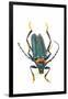 Head on Photograph of Long Horn Beetle Cerambycidae-Darrell Gulin-Framed Photographic Print