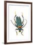 Head on Photograph of Long Horn Beetle Cerambycidae-Darrell Gulin-Framed Photographic Print