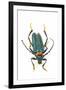 Head on Photograph of Long Horn Beetle Cerambycidae-Darrell Gulin-Framed Photographic Print