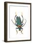 Head on Photograph of Long Horn Beetle Cerambycidae-Darrell Gulin-Framed Photographic Print