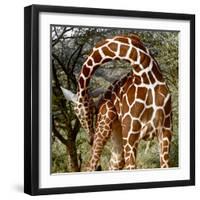 Head over Heels, Sarara, 2017-Eric Meyer-Framed Photographic Print