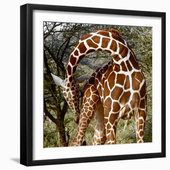 Head over Heels, Sarara, 2017-Eric Meyer-Framed Photographic Print