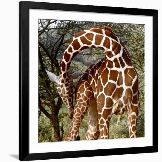 Head over Heels, Sarara, 2017-Eric Meyer-Framed Photographic Print