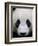 Head Portrait of a Giant Panda Bifengxia Giant Panda Breeding and Conservation Center, China-Eric Baccega-Framed Photographic Print