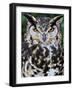 Head Portrait of Spotted Eagle-Owl Captive, France-Eric Baccega-Framed Photographic Print