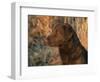 Head Profile Portrait of Chesapeake Bay Retriever, Wisconsin, USA-Lynn M. Stone-Framed Premium Photographic Print