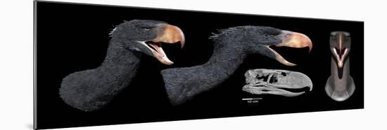 Head Reconstruction of Andalgalornis Steulleti-null-Mounted Art Print