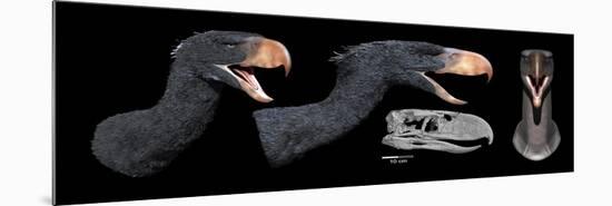 Head Reconstruction of Andalgalornis Steulleti-null-Mounted Premium Giclee Print